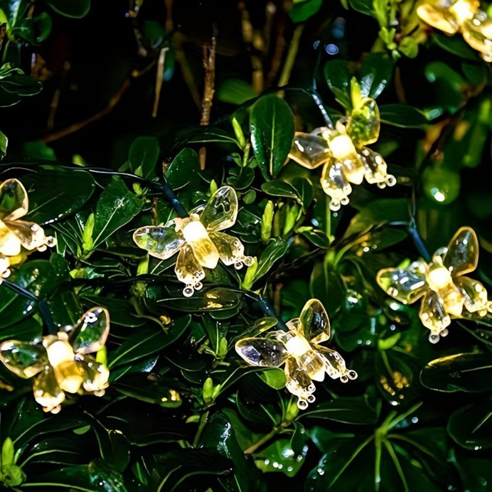 Crystal Butterfly Outdoor Fair - Outdoor Power For Wedding ulasan dan harga
