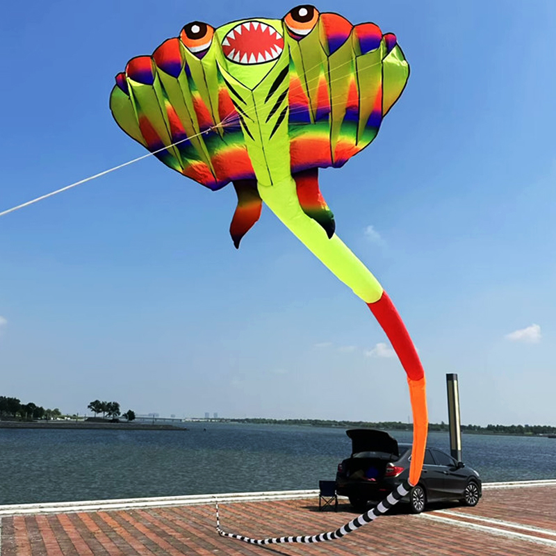 3D 12.5M 2-color Ray Soft Kite - Outdoor Power Reel ulasan dan harga
