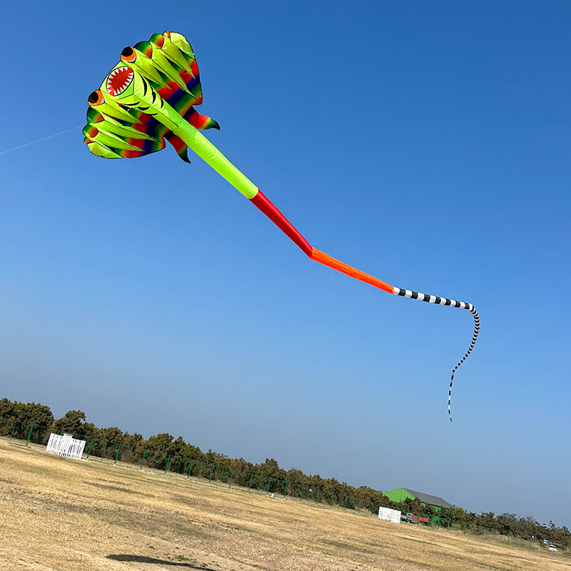 3D 12.5M 2-color Ray Soft Kite - Outdoor Power Reel ulasan dan harga